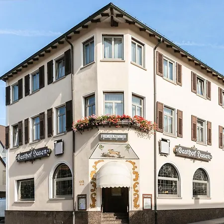Hotel Hasen 3*